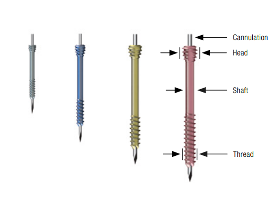 Cannulated Screw System